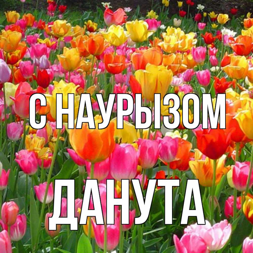 Открытка на каждый день с именем, Данута С наурызом праздник весны наурыз 4 Прикольная открытка с пожеланием онлайн скачать бесплатно 