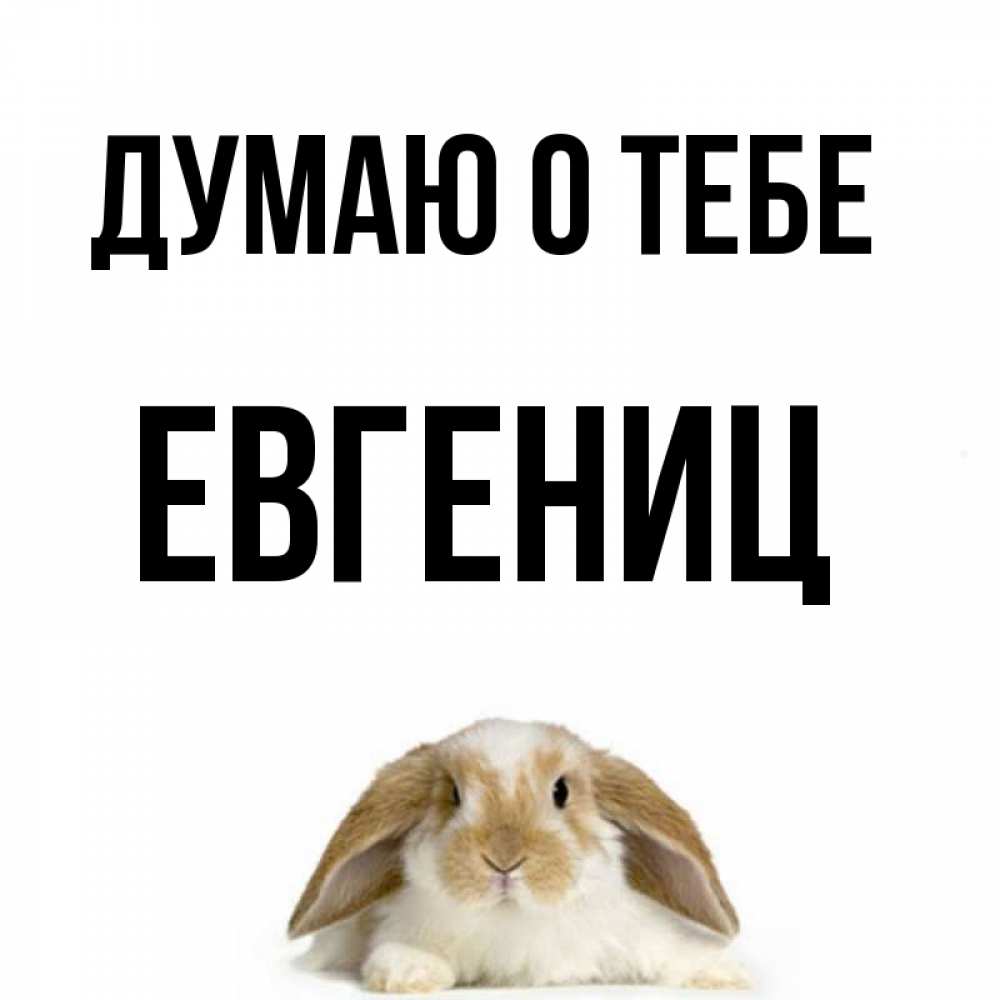 Картинка Евгений