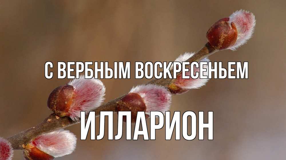 Открытка на каждый день с именем, Илларион С вербным воскресеньем верба Прикольная открытка с пожеланием онлайн скачать бесплатно 