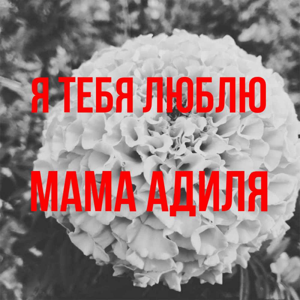 Открытка на каждый день с именем, Мама-Адиля Я тебя люблю подпись Прикольная открытка с пожеланием онлайн скачать бесплатно 