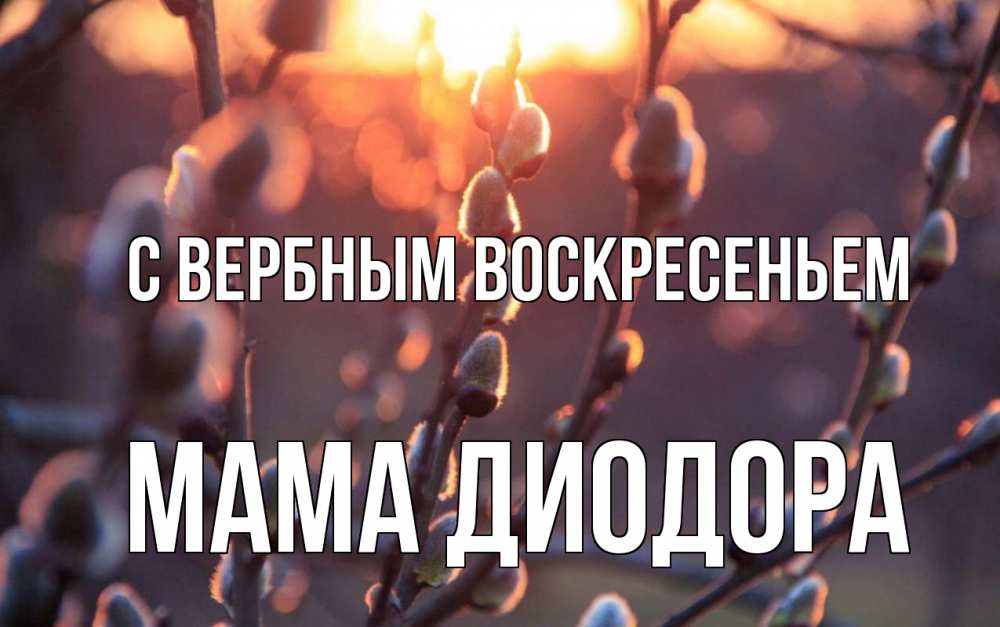 Открытка на каждый день с именем, Мама-Диодора С вербным воскресеньем верба Прикольная открытка с пожеланием онлайн скачать бесплатно 