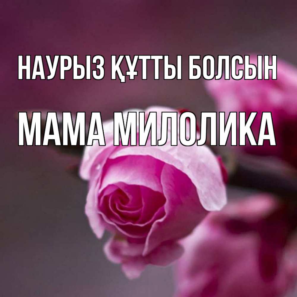 Открытка на каждый день с именем, Мама-Милолика Наурыз құтты болсын весна Прикольная открытка с пожеланием онлайн скачать бесплатно 