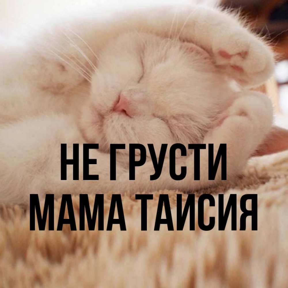 Открытка на каждый день с именем, Мама-Таисия Не грусти Котенок спит Прикольная открытка с пожеланием онлайн скачать бесплатно 