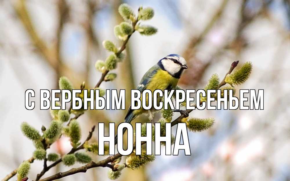 Открытка на каждый день с именем, Нонна С вербным воскресеньем верба Прикольная открытка с пожеланием онлайн скачать бесплатно 