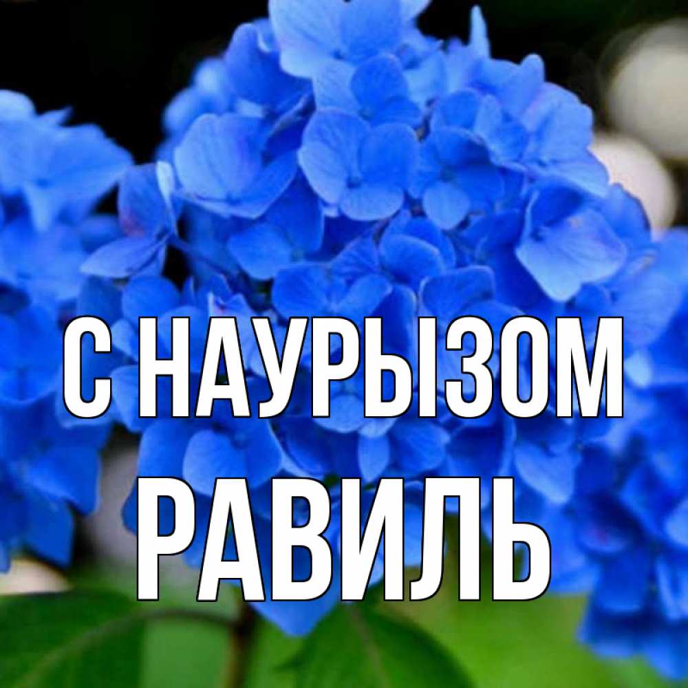 Открытка на каждый день с именем, Равиль С наурызом синие цветы Прикольная открытка с пожеланием онлайн скачать бесплатно 