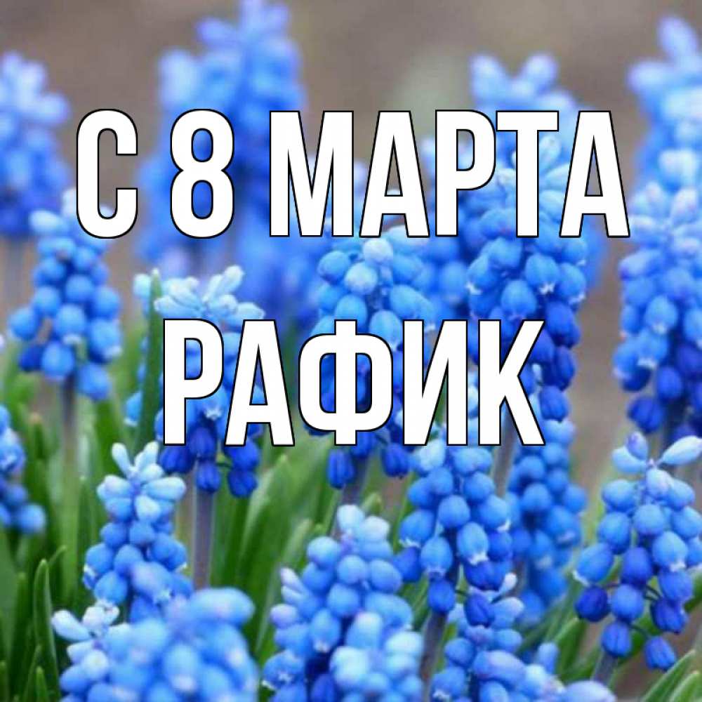 Открытка на каждый день с именем, Рафик С 8 МАРТА Поздравительная открытка для женщин с цветами на праздничную дату Прикольная открытка с пожеланием онлайн скачать бесплатно 