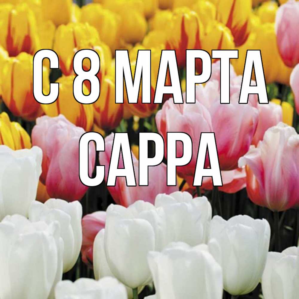 Открытка на каждый день с именем, Сарра С 8 МАРТА разноцветные цветы Прикольная открытка с пожеланием онлайн скачать бесплатно 