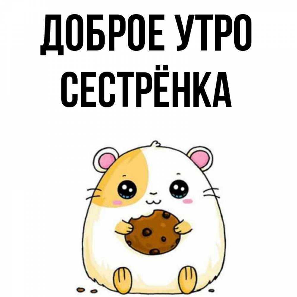 Открытка на каждый день с именем, Сестрёнка Доброе утро есть печеньку. Утречко Прикольная открытка с пожеланием онлайн скачать бесплатно 
