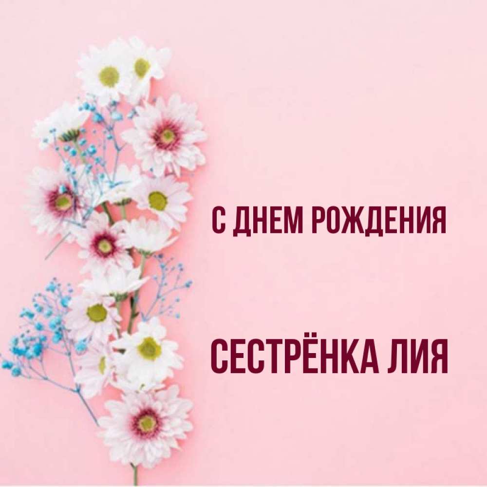 Открытка на каждый день с именем, Сестрёнка-Лия С днем рождения Родная моя с днем рождения тебя картинка с цветами белыми и голубыми Прикольная открытка с пожеланием онлайн скачать бесплатно 