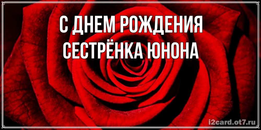 Открытка на каждый день с именем, Сестрёнка-Юнона С днем рождения алая роза Прикольная открытка с пожеланием онлайн скачать бесплатно 