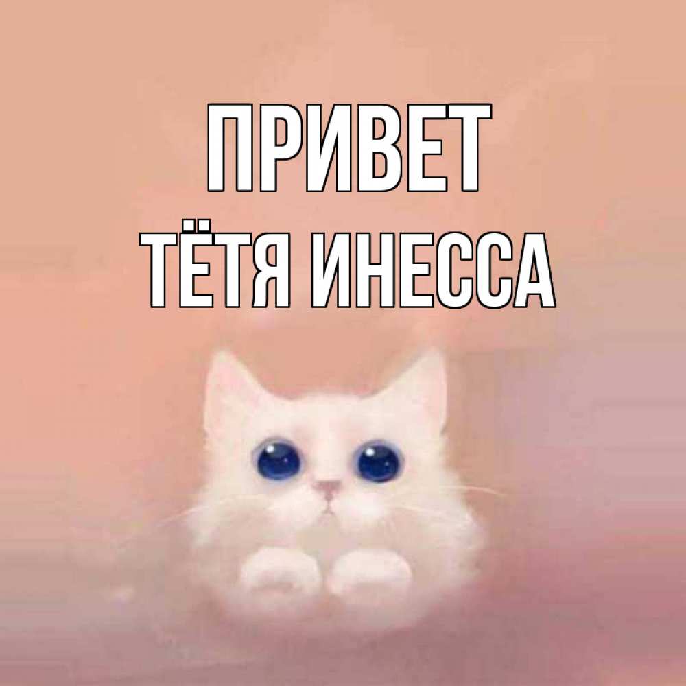 Открытка на каждый день с именем, Тётя-Инесса Привет котик белый в полете Прикольная открытка с пожеланием онлайн скачать бесплатно 