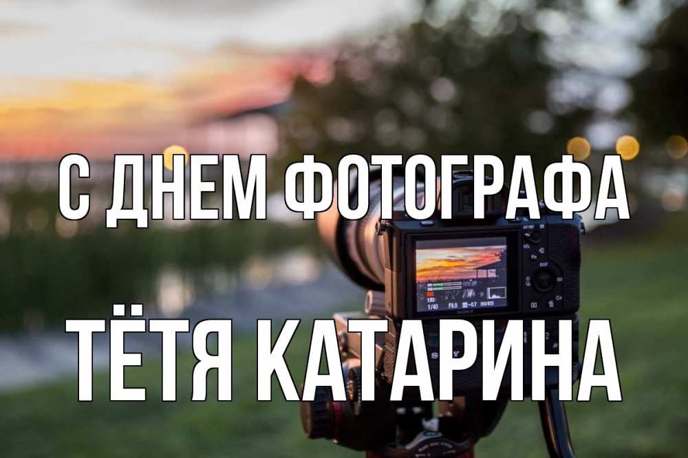 Открытка на каждый день с именем, Тётя-Катарина С днем фотографа с днем фотографа Прикольная открытка с пожеланием онлайн скачать бесплатно 