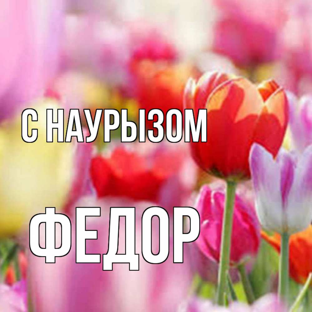 Открытка на каждый день с именем, Федор С наурызом праздник весны наурыз 67 Прикольная открытка с пожеланием онлайн скачать бесплатно 