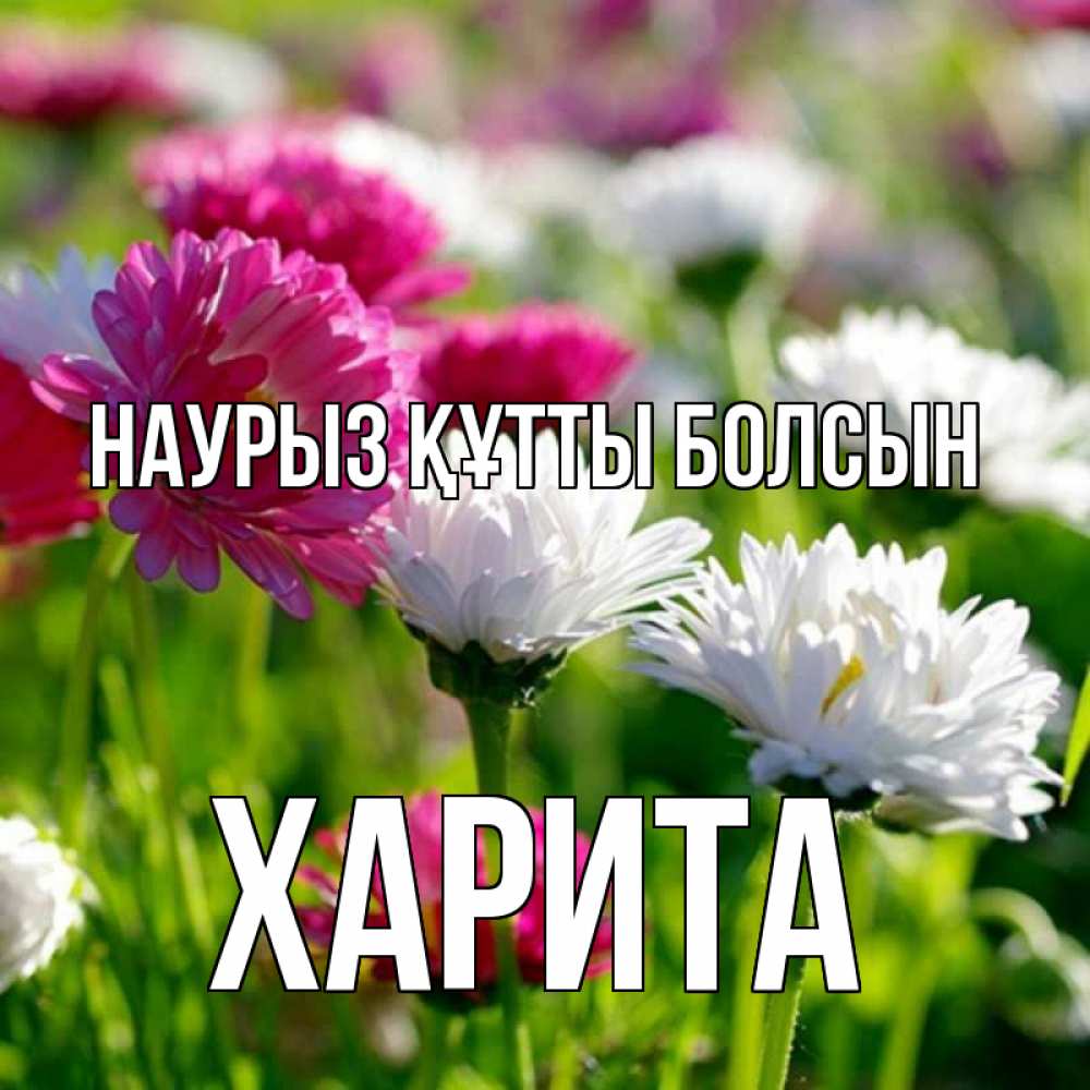 Открытка на каждый день с именем, Харита Наурыз құтты болсын наурыз Прикольная открытка с пожеланием онлайн скачать бесплатно 