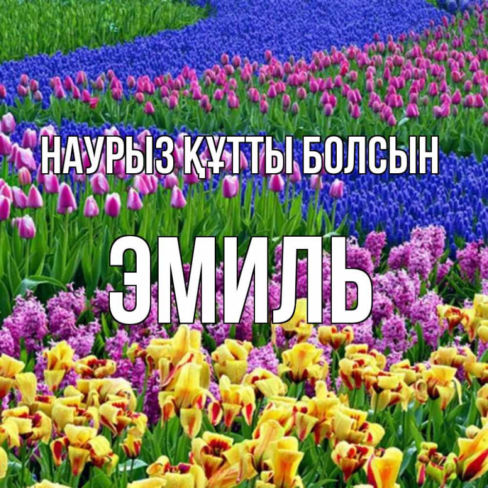 Открытка на каждый день с именем, Эмиль Наурыз құтты болсын цветы Прикольная открытка с пожеланием онлайн скачать бесплатно 