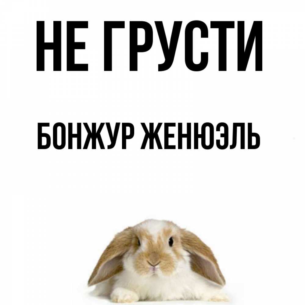 Картинки бонжур прикольные