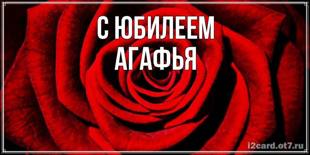 Открытка на каждый день с именем, Агафья С юбилеем алая роза Прикольная открытка с пожеланием онлайн скачать бесплатно 