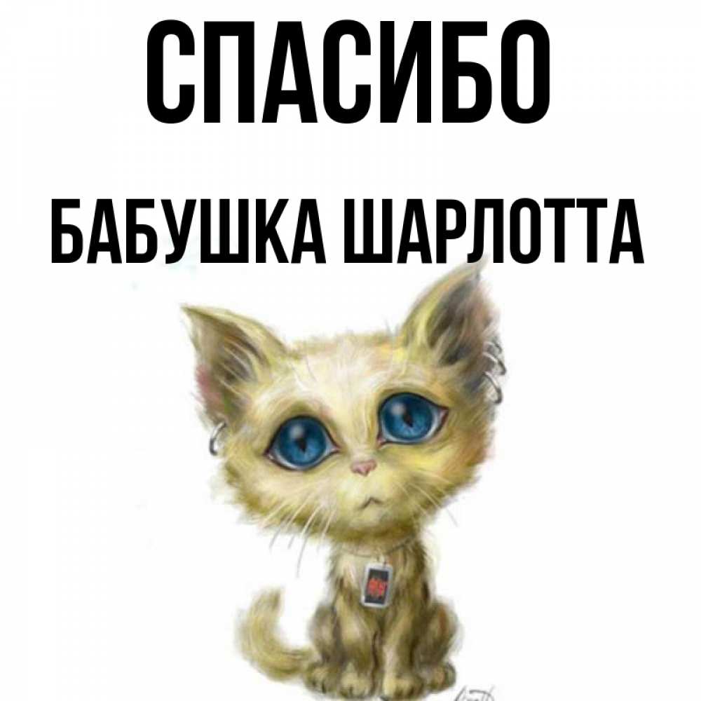 Открытка на каждый день с именем, Бабушка-Шарлотта Спасибо рисованный кот благодарит вас Прикольная открытка с пожеланием онлайн скачать бесплатно 