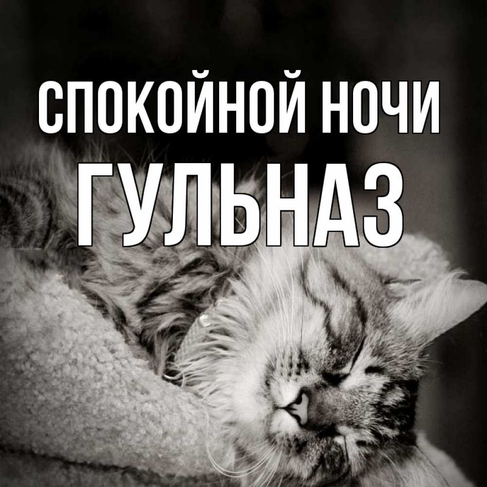 Открытка на каждый день с именем, Гульназ Спокойной ночи котярик пушистый Прикольная открытка с пожеланием онлайн скачать бесплатно 