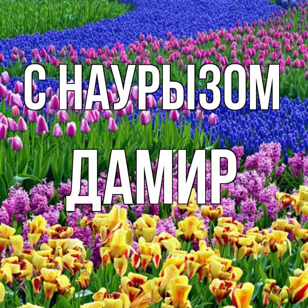 Открытка на каждый день с именем, Дамир С наурызом цветы Прикольная открытка с пожеланием онлайн скачать бесплатно 