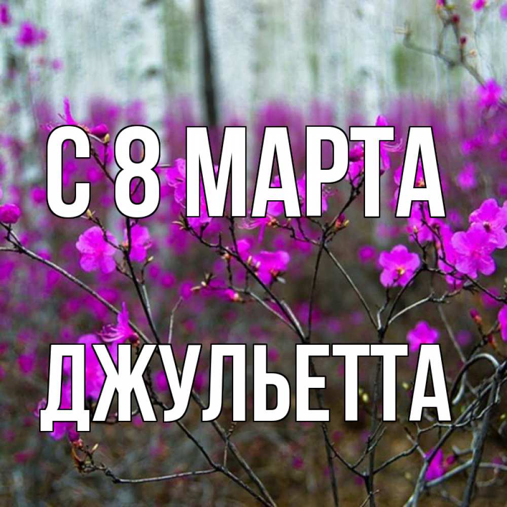 Открытка на каждый день с именем, Джульетта С 8 МАРТА дикие цветы Прикольная открытка с пожеланием онлайн скачать бесплатно 