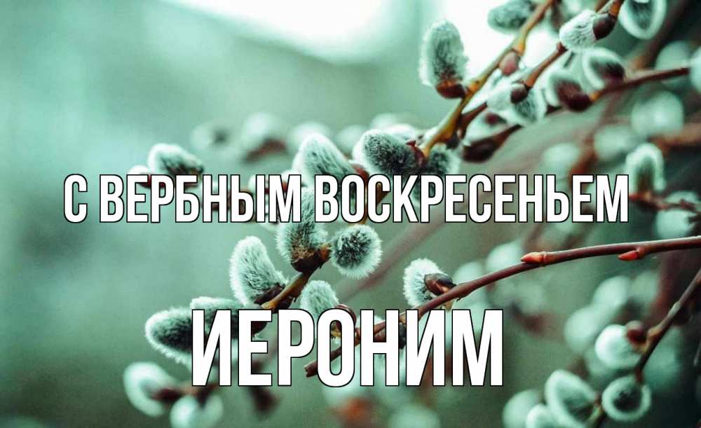 Открытка на каждый день с именем, Иероним С вербным воскресеньем верба Прикольная открытка с пожеланием онлайн скачать бесплатно 