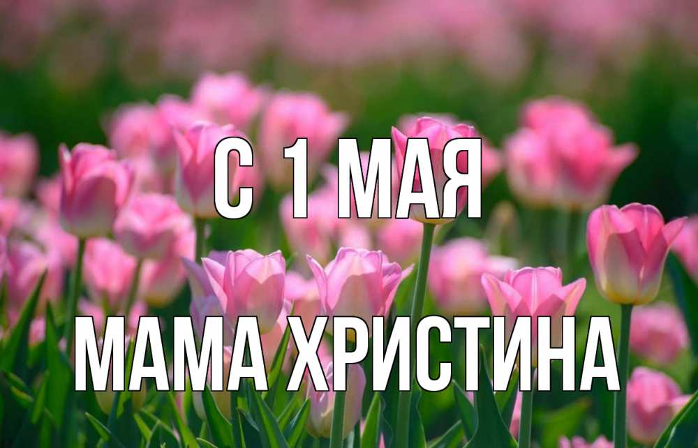 Открытка на каждый день с именем, Мама-Христина С 1 мая С 1 мая Прикольная открытка с пожеланием онлайн скачать бесплатно 