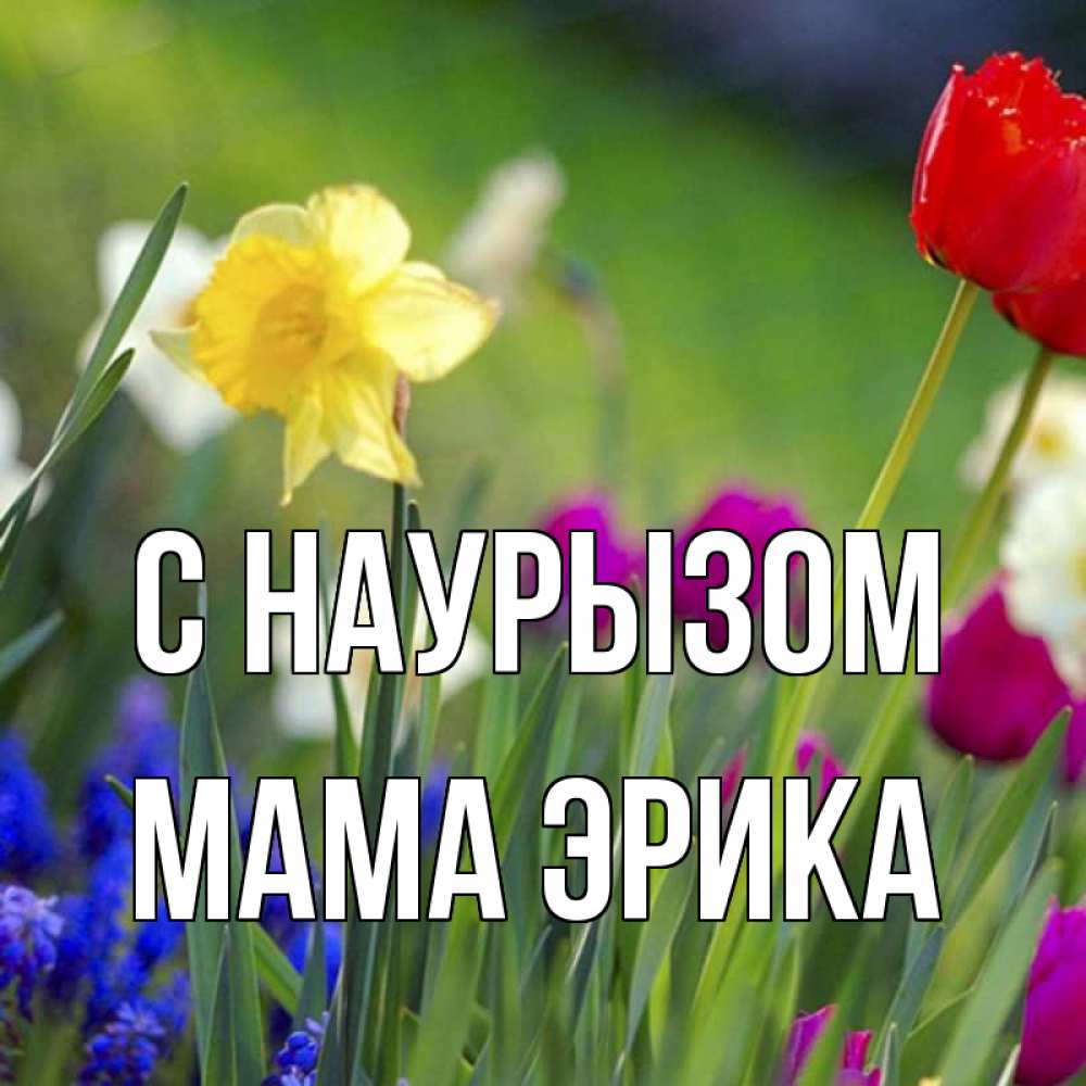 Открытка на каждый день с именем, Мама-Эрика С наурызом праздник весны наурыз 3 Прикольная открытка с пожеланием онлайн скачать бесплатно 