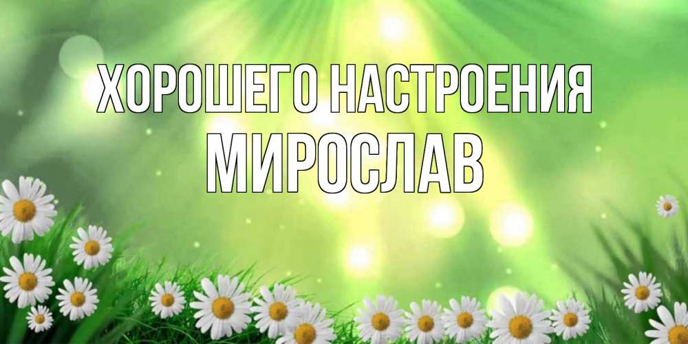 Открытка на каждый день с именем, Мирослав Хорошего настроения открытка с ромашками и солнечными лучами Прикольная открытка с пожеланием онлайн скачать бесплатно 