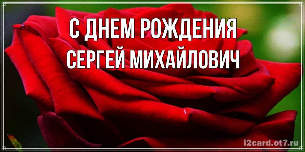 Открытка на каждый день с именем, Сергей-Михайлович С днем рождения розочка очень красивая Прикольная открытка с пожеланием онлайн скачать бесплатно 