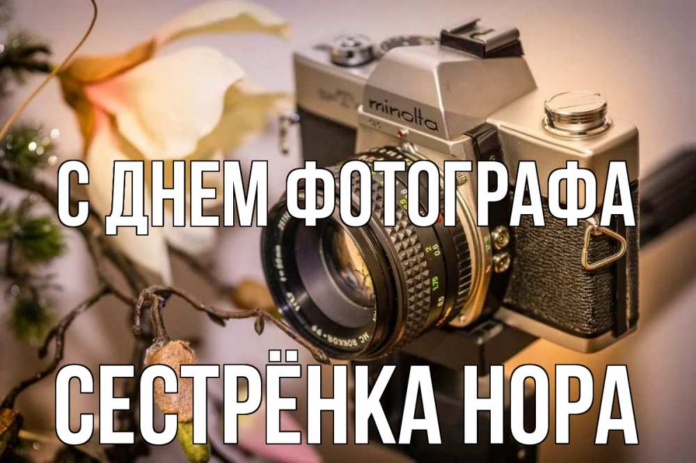Открытка на каждый день с именем, Сестрёнка-Нора С днем фотографа с днем фотографа 1 Прикольная открытка с пожеланием онлайн скачать бесплатно 