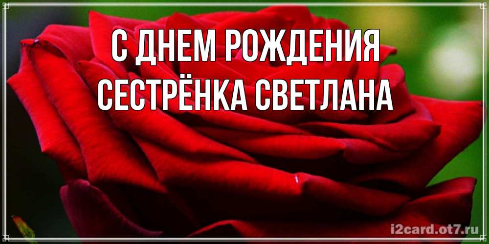 Открытка на каждый день с именем, Сестрёнка-Светлана С днем рождения розочка очень красивая Прикольная открытка с пожеланием онлайн скачать бесплатно 