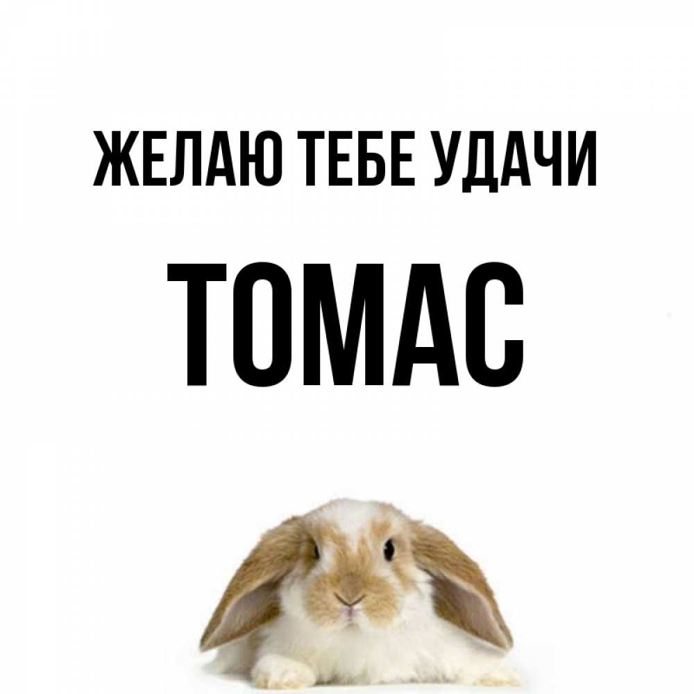 Открытка на каждый день с именем, Томас Желаю тебе удачи открытки с произвольным текстом который можно вставить в открытку и создать ее самостоятельно бесплатно онлайн Прикольная открытка с пожеланием онлайн скачать бесплатно 