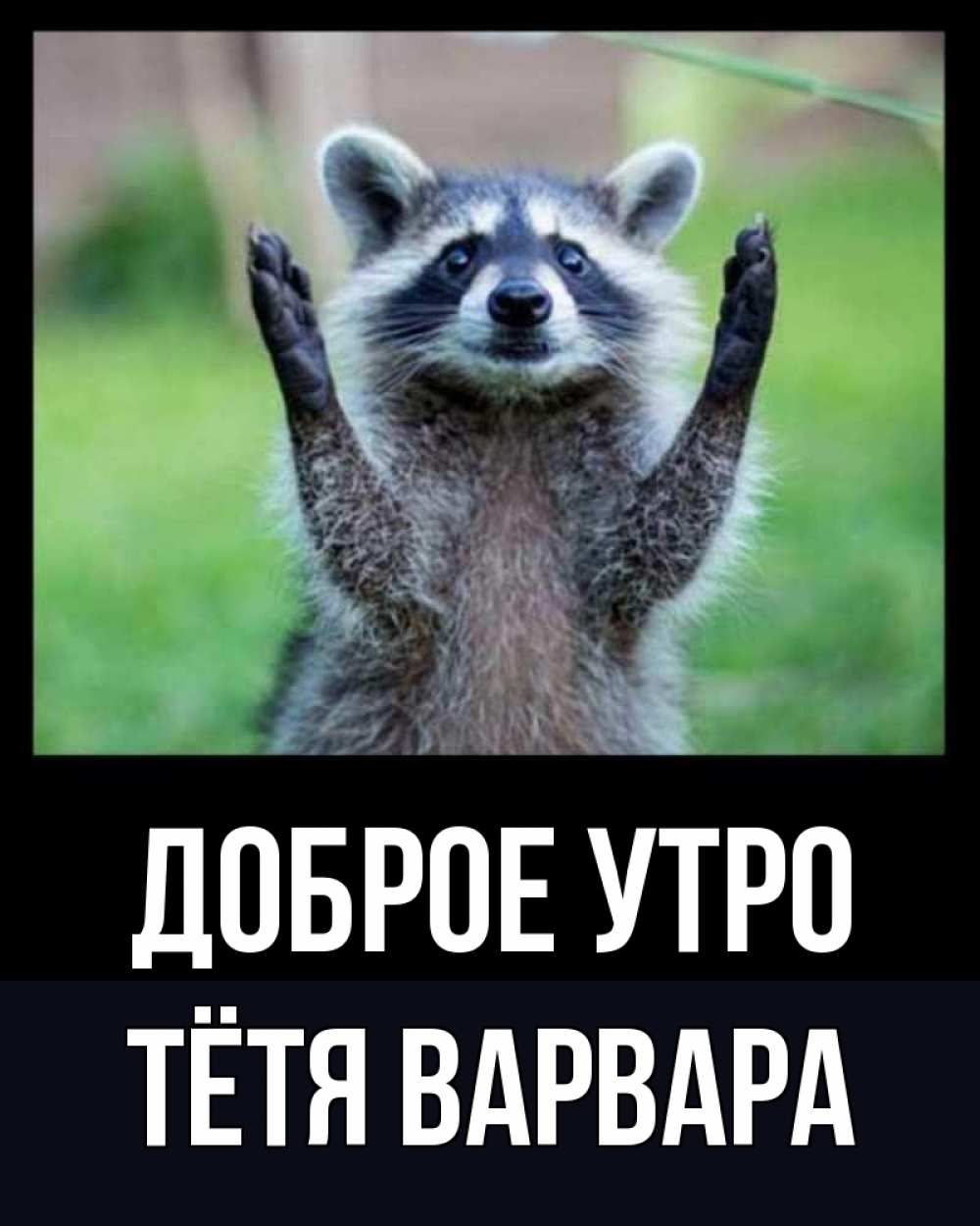 Открытка на каждый день с именем, Тётя-Варвара Доброе утро хорошее настроение утречком Прикольная открытка с пожеланием онлайн скачать бесплатно 