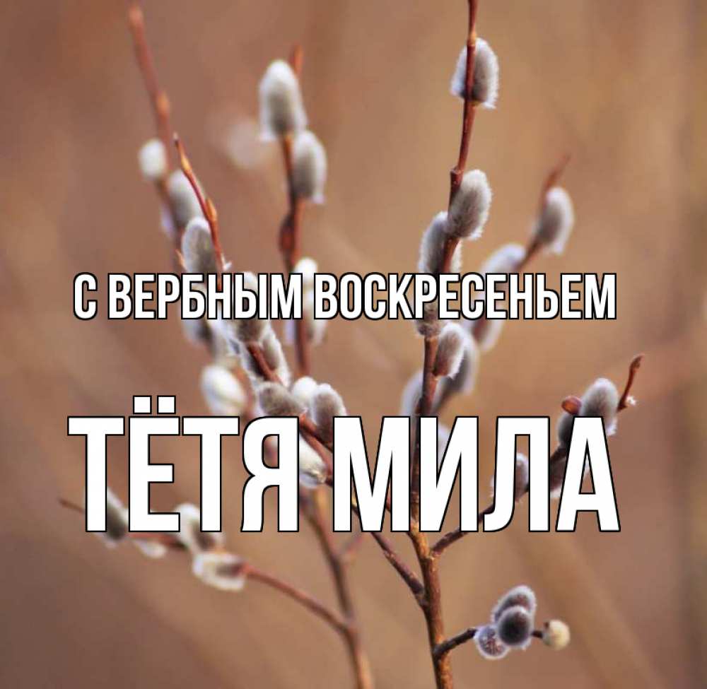 Открытка на каждый день с именем, Тётя-Мила С вербным воскресеньем верба Прикольная открытка с пожеланием онлайн скачать бесплатно 