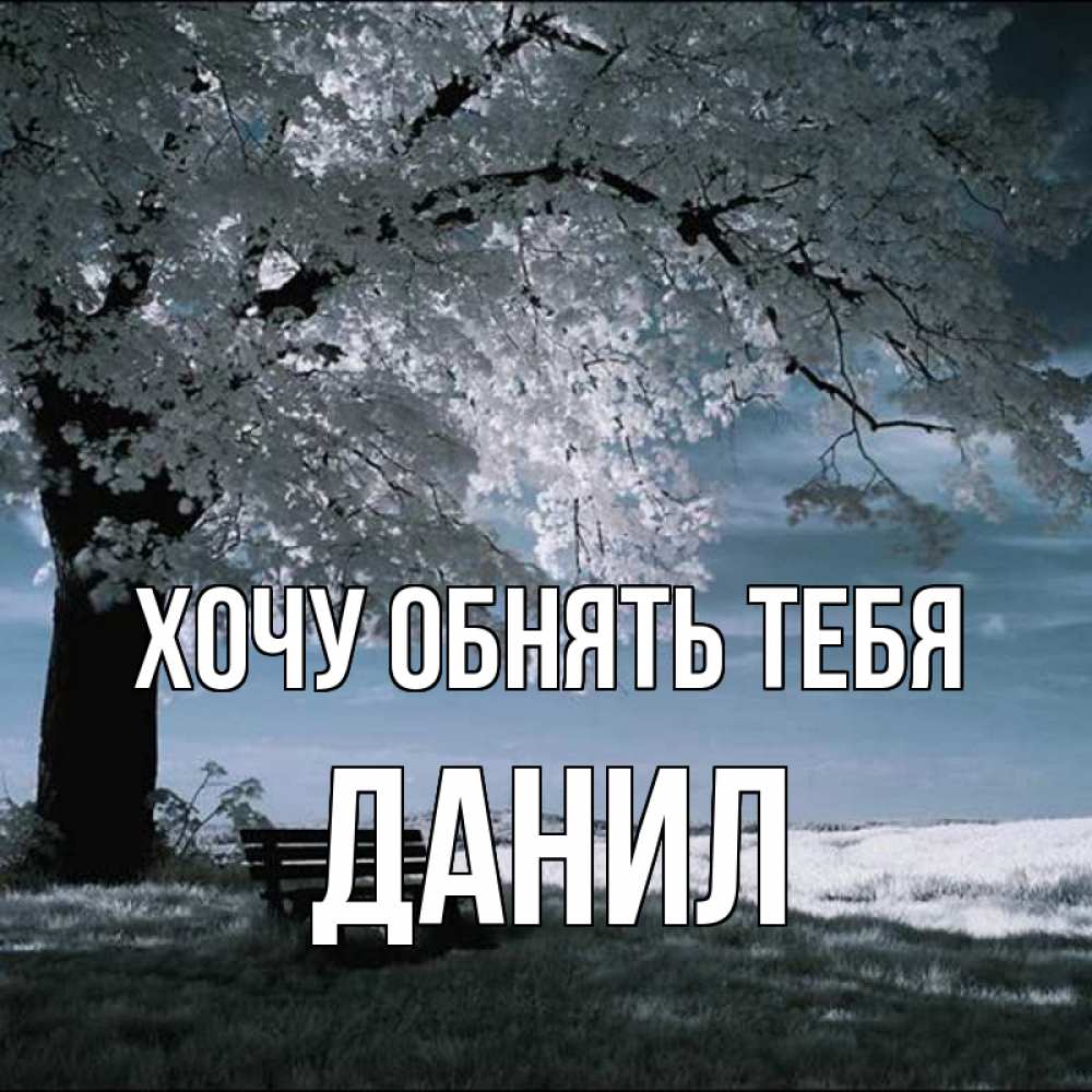 Открытка на каждый день с именем, данил Хочу обнять тебя дерево Прикольная открытка с пожеланием онлайн скачать бесплатно 