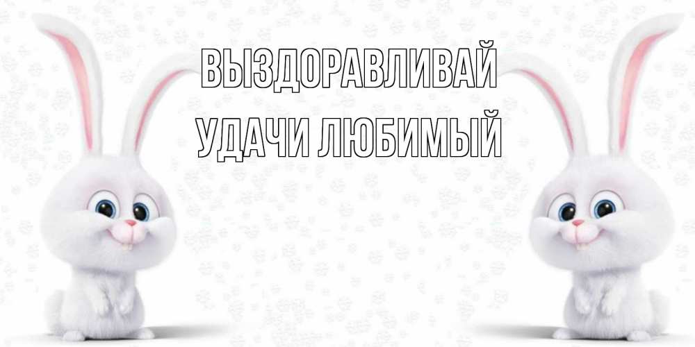 Выздоравливай зайка картинки