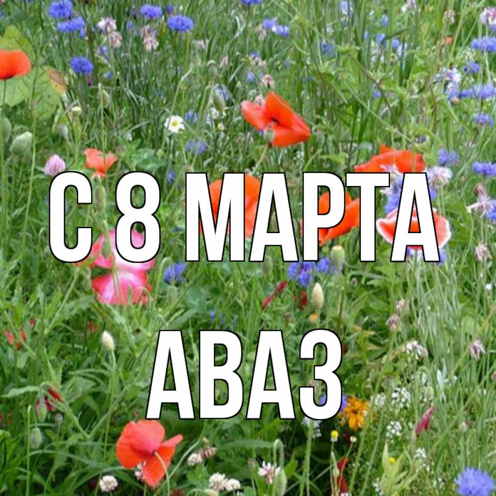 Открытка на каждый день с именем, Аваз С 8 МАРТА международный женский день 4 Прикольная открытка с пожеланием онлайн скачать бесплатно 