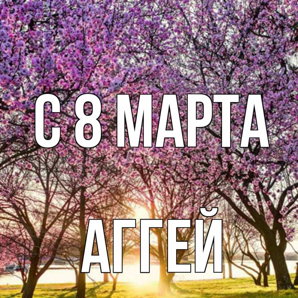 Открытка на каждый день с именем, Аггей С 8 марта международный женский день Прикольная открытка с пожеланием онлайн скачать бесплатно 
