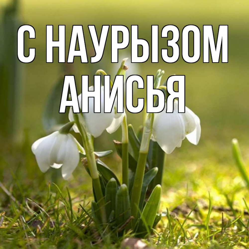 Открытка на каждый день с именем, Анисья С наурызом ранние цветы 2 Прикольная открытка с пожеланием онлайн скачать бесплатно 