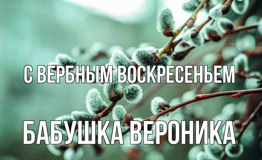 Открытка на каждый день с именем, Бабушка-Вероника С вербным воскресеньем верба Прикольная открытка с пожеланием онлайн скачать бесплатно 