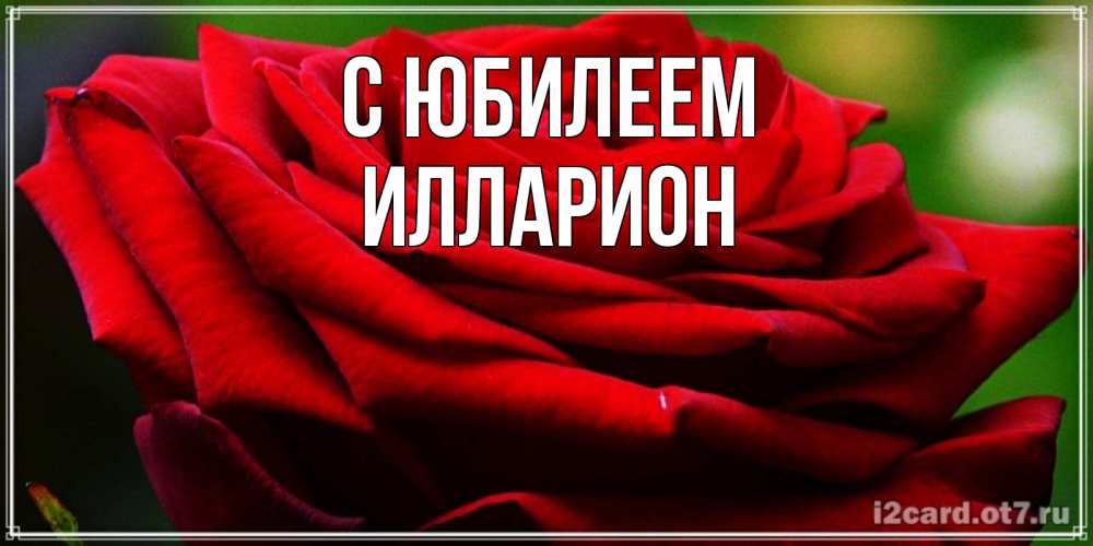 Открытка на каждый день с именем, Илларион С юбилеем розочка очень красивая Прикольная открытка с пожеланием онлайн скачать бесплатно 