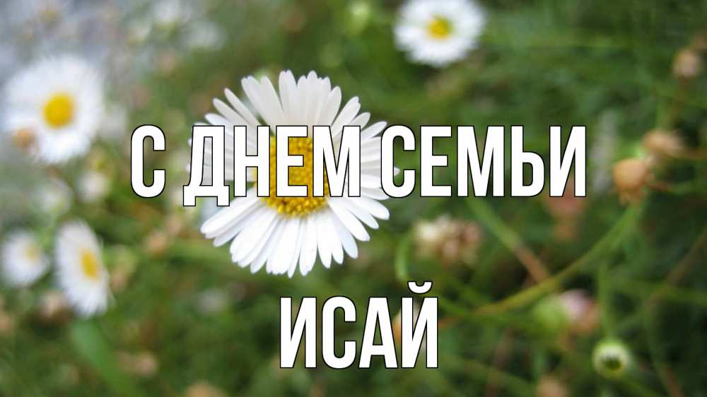 Открытка на каждый день с именем, Исай С днем семьи с днем семьи Прикольная открытка с пожеланием онлайн скачать бесплатно 