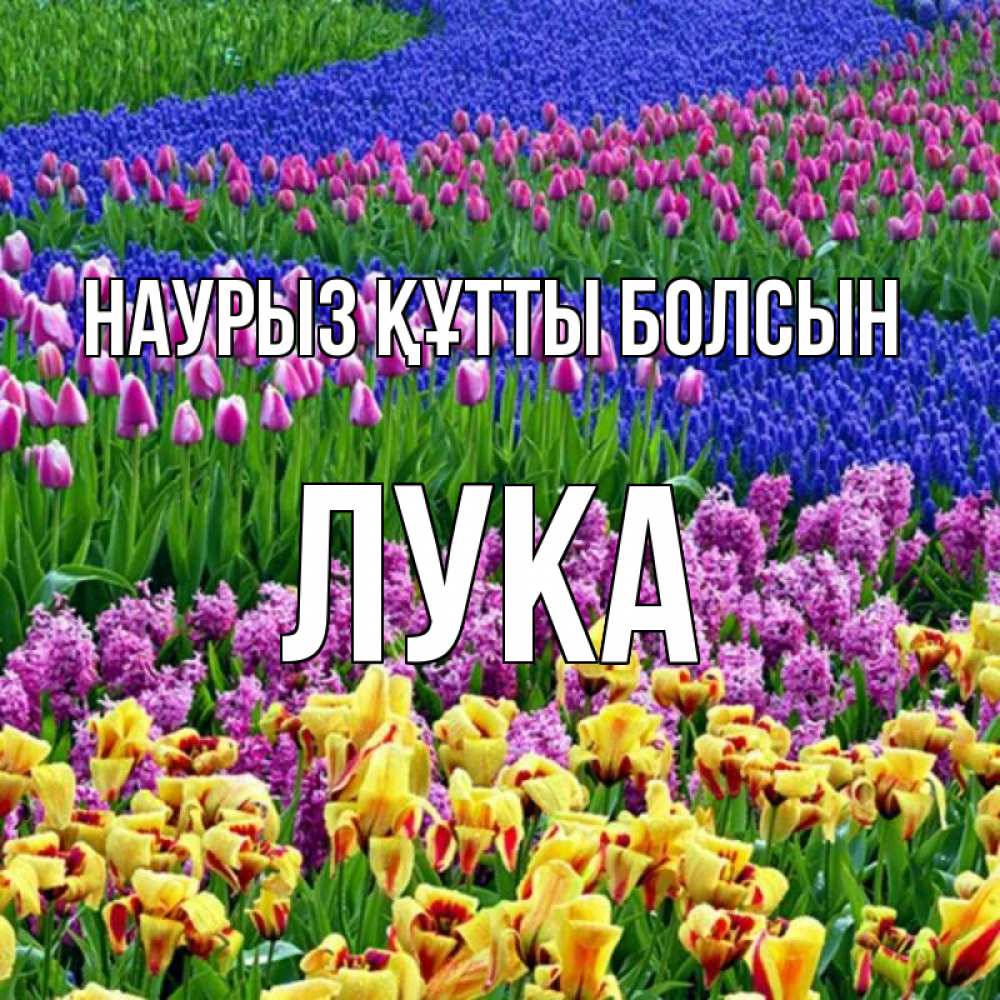 Открытка на каждый день с именем, Лука Наурыз құтты болсын цветы Прикольная открытка с пожеланием онлайн скачать бесплатно 