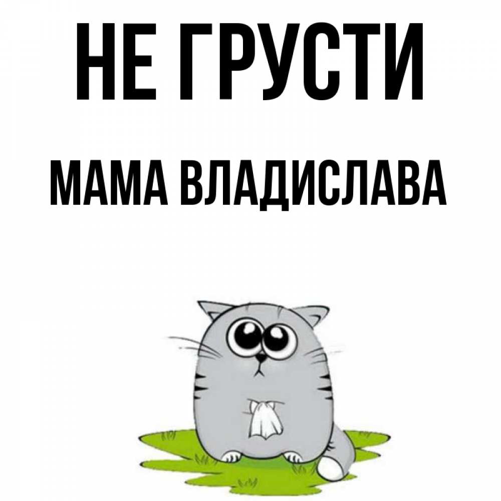 Открытка на каждый день с именем, Мама-Владислава Не грусти грустный котяра Прикольная открытка с пожеланием онлайн скачать бесплатно 