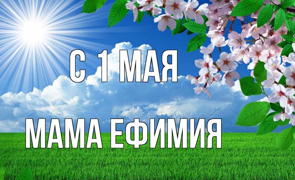 Открытка на каждый день с именем, Мама-Ефимия С 1 мая С 1 мая Прикольная открытка с пожеланием онлайн скачать бесплатно 