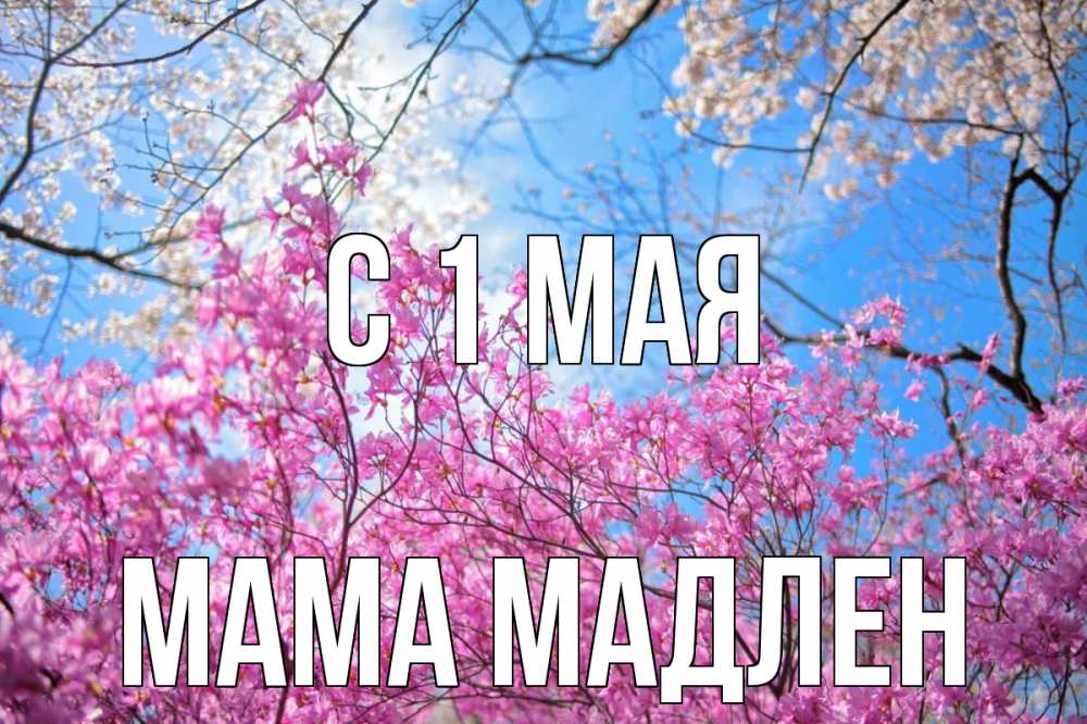 Открытка на каждый день с именем, Мама-Мадлен С 1 мая С 1 мая Прикольная открытка с пожеланием онлайн скачать бесплатно 