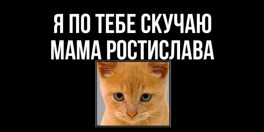 Открытка на каждый день с именем, Мама-Ростислава Я по тебе скучаю открытки рыжий котенок скучает по тебе Прикольная открытка с пожеланием онлайн скачать бесплатно 