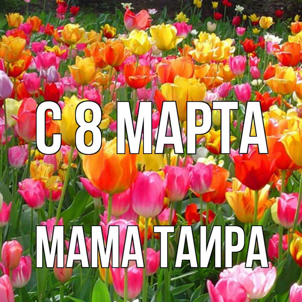Открытка на каждый день с именем, Мама-Таира С 8 МАРТА на международный женский день Прикольная открытка с пожеланием онлайн скачать бесплатно 