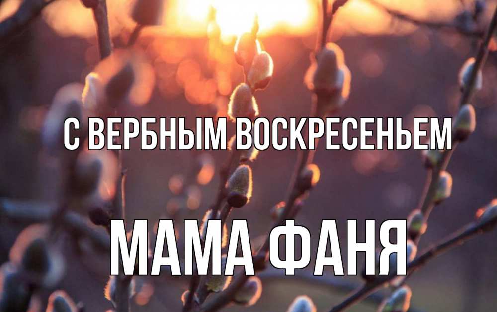 Открытка на каждый день с именем, Мама-Фаня С вербным воскресеньем верба Прикольная открытка с пожеланием онлайн скачать бесплатно 